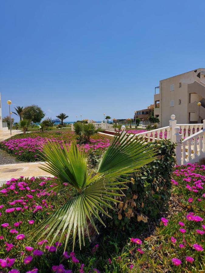 Apartamento En Primera Linea De Vera Playa Naturista! Extérieur photo